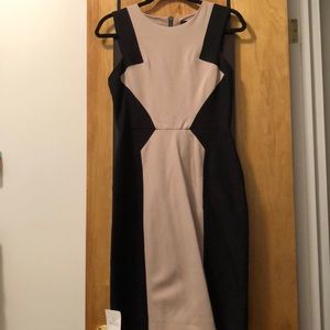 BCBG dress